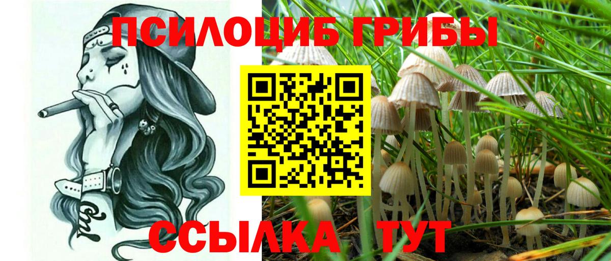 Псилоцибиновые грибы MAGIC MUSHROOMS  Вход с VPN  Магнитогорск  Псилоцибиновые грибы Psilocybine cubensis 
